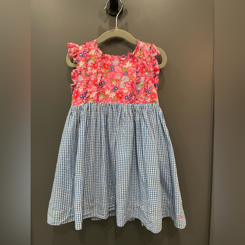 Pink Chicken Gingham + Floral dress 2T